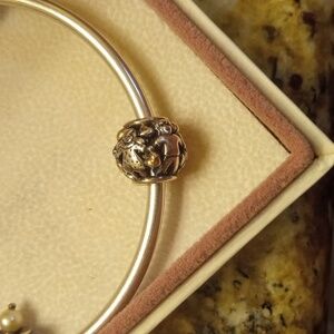 Pandora Family Forever 14k Accent Charm